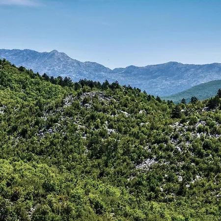 Dicmo With Fireplace 02