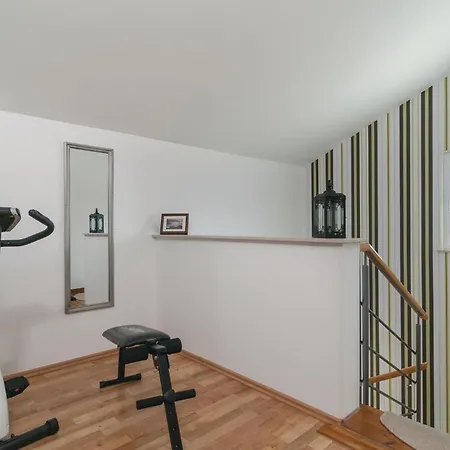 Dicmo With Fireplace 02 *